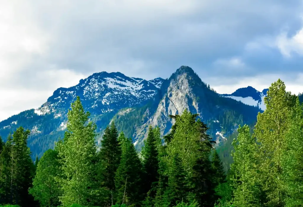 Mountain and forest landscape